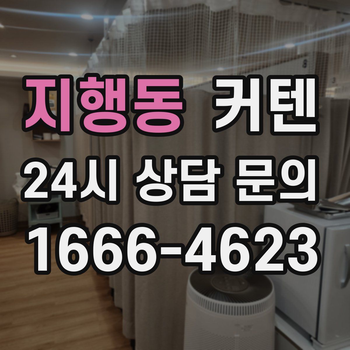 지행동 커텐