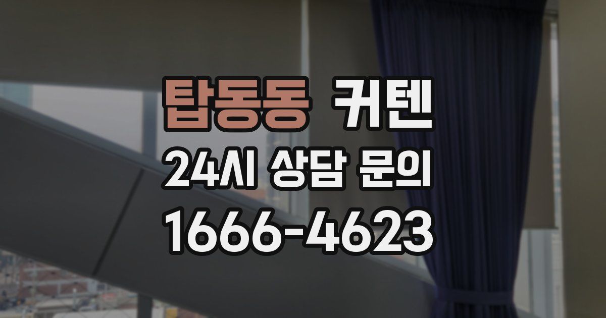 탑동동 커텐