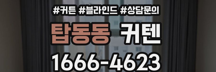 탑동동 커텐