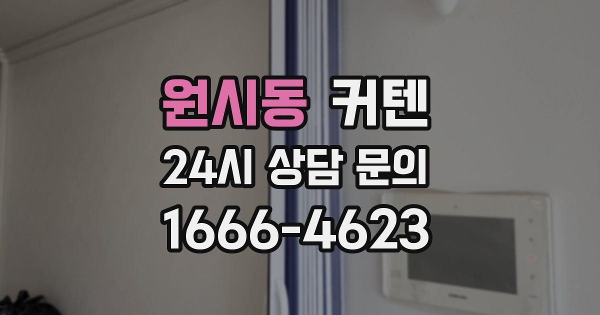 원시동 커텐