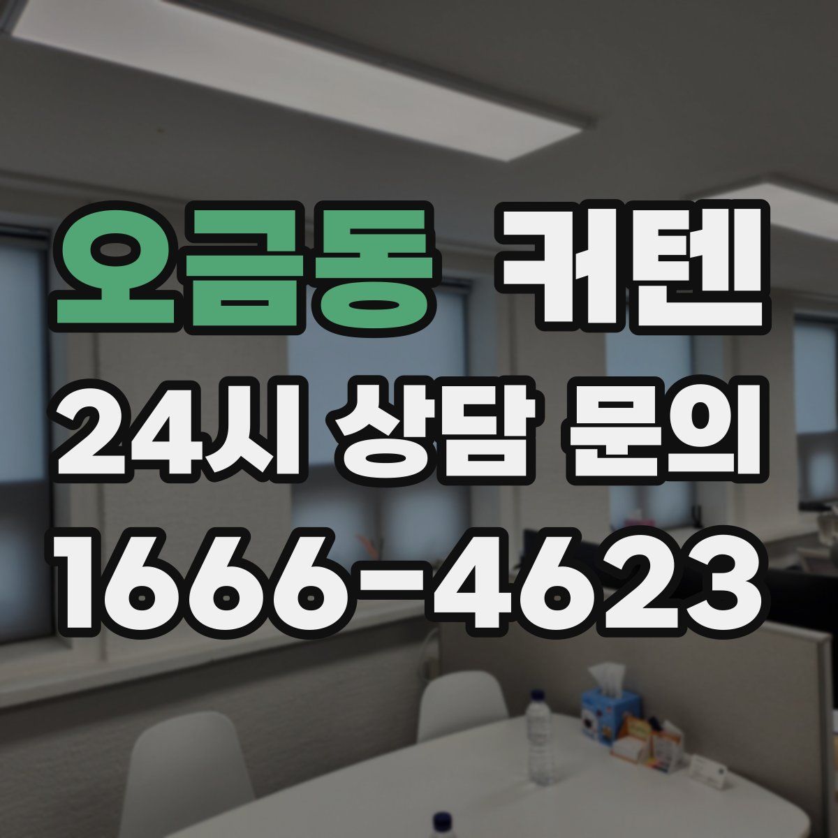오금동 커텐