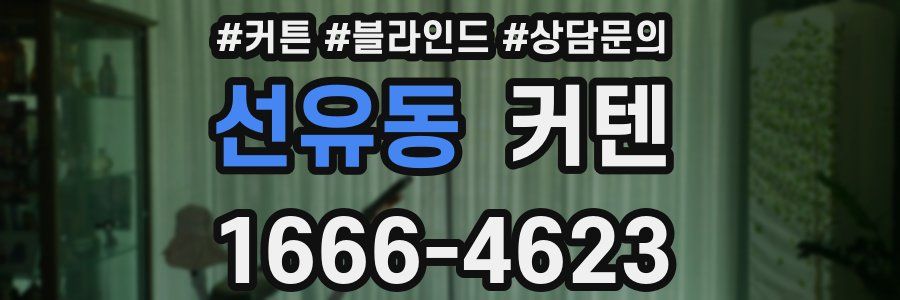 선유동 커텐
