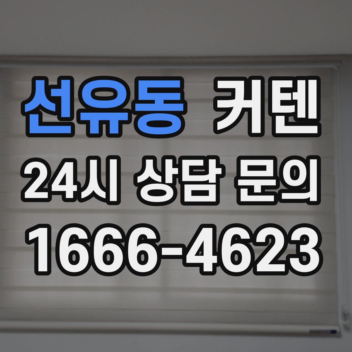 선유동 커텐