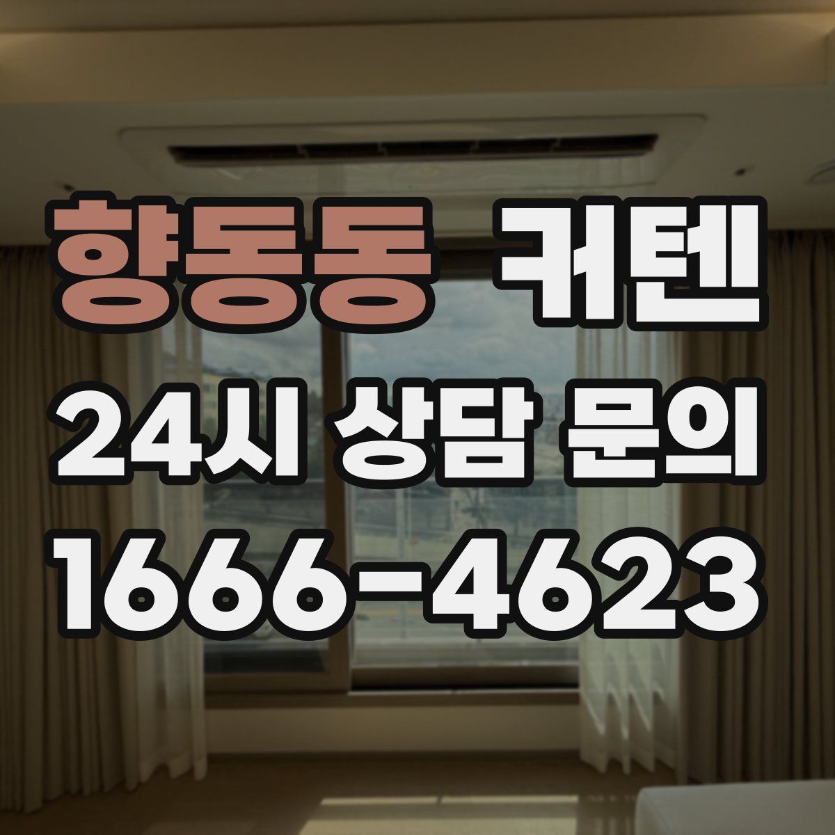 향동동 커텐