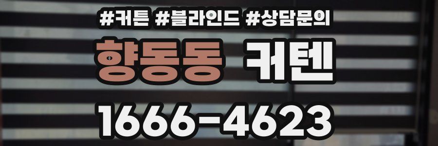 향동동 커텐