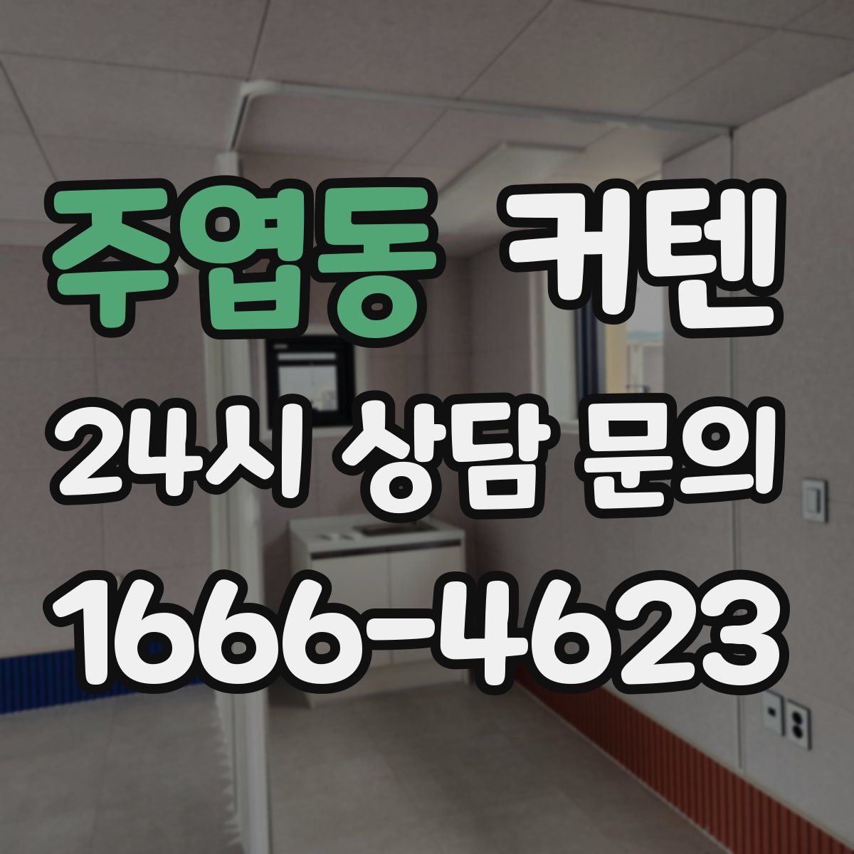 주엽동 커텐