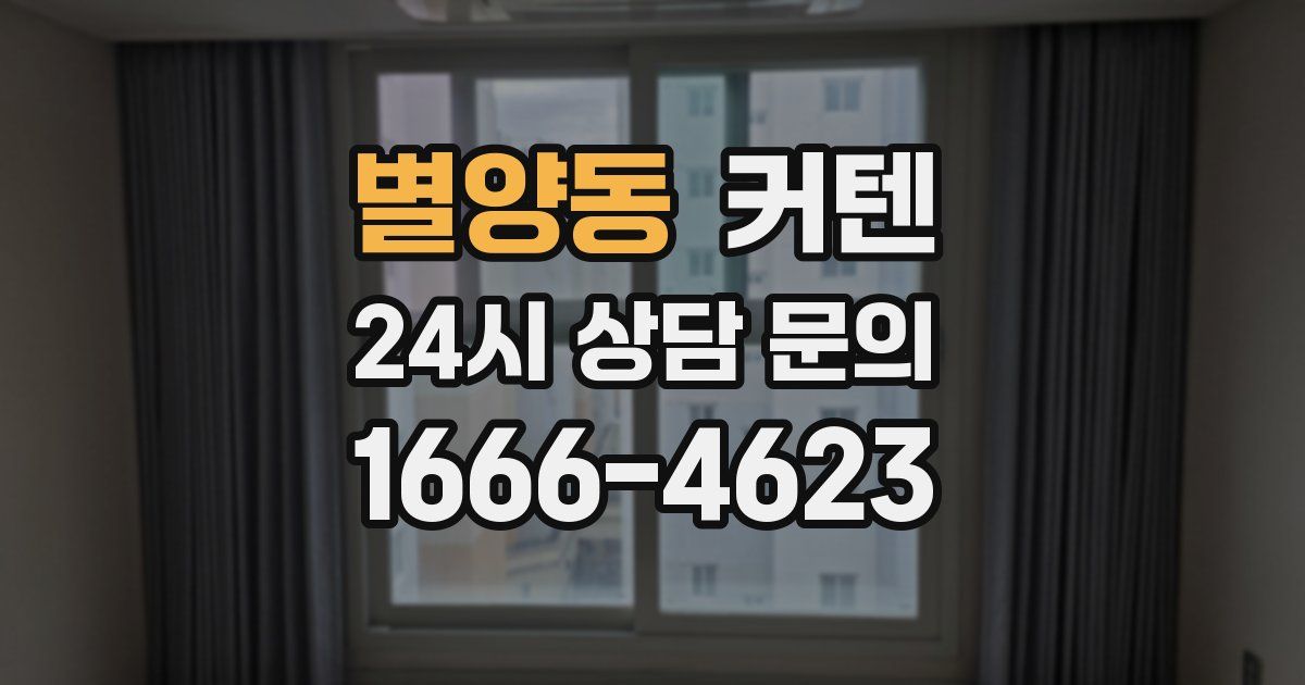 별양동 커텐