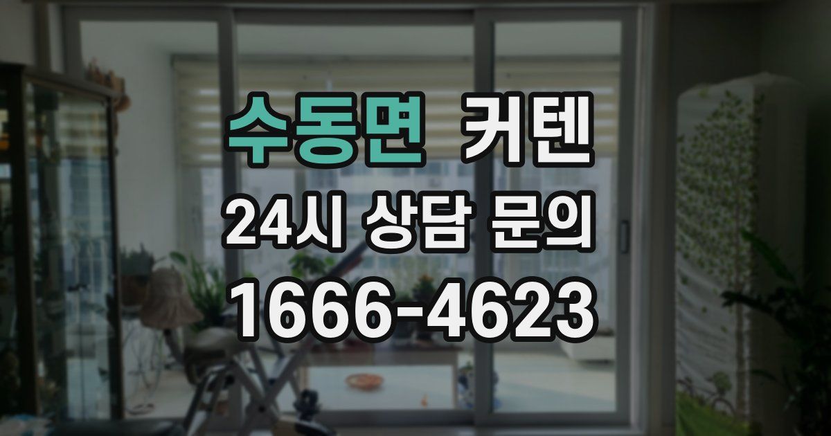 수동면 커텐