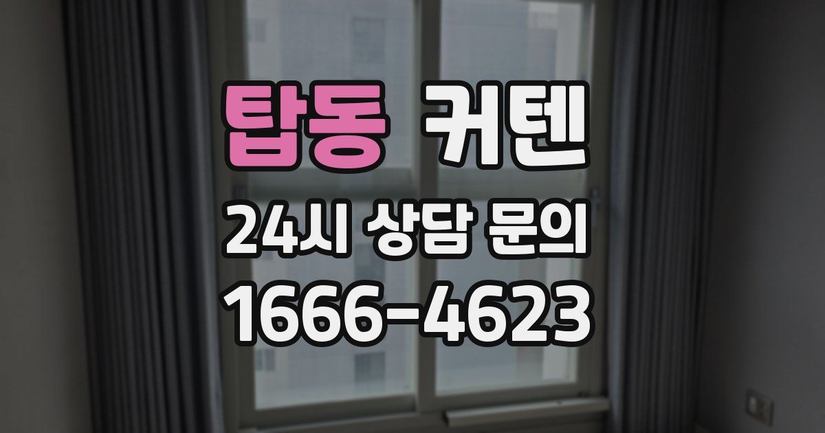 탑동 커텐