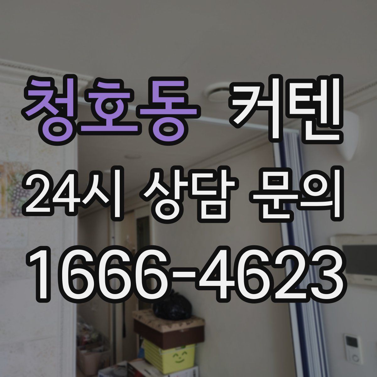 청호동 커텐