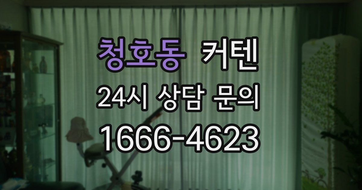 청호동 커텐