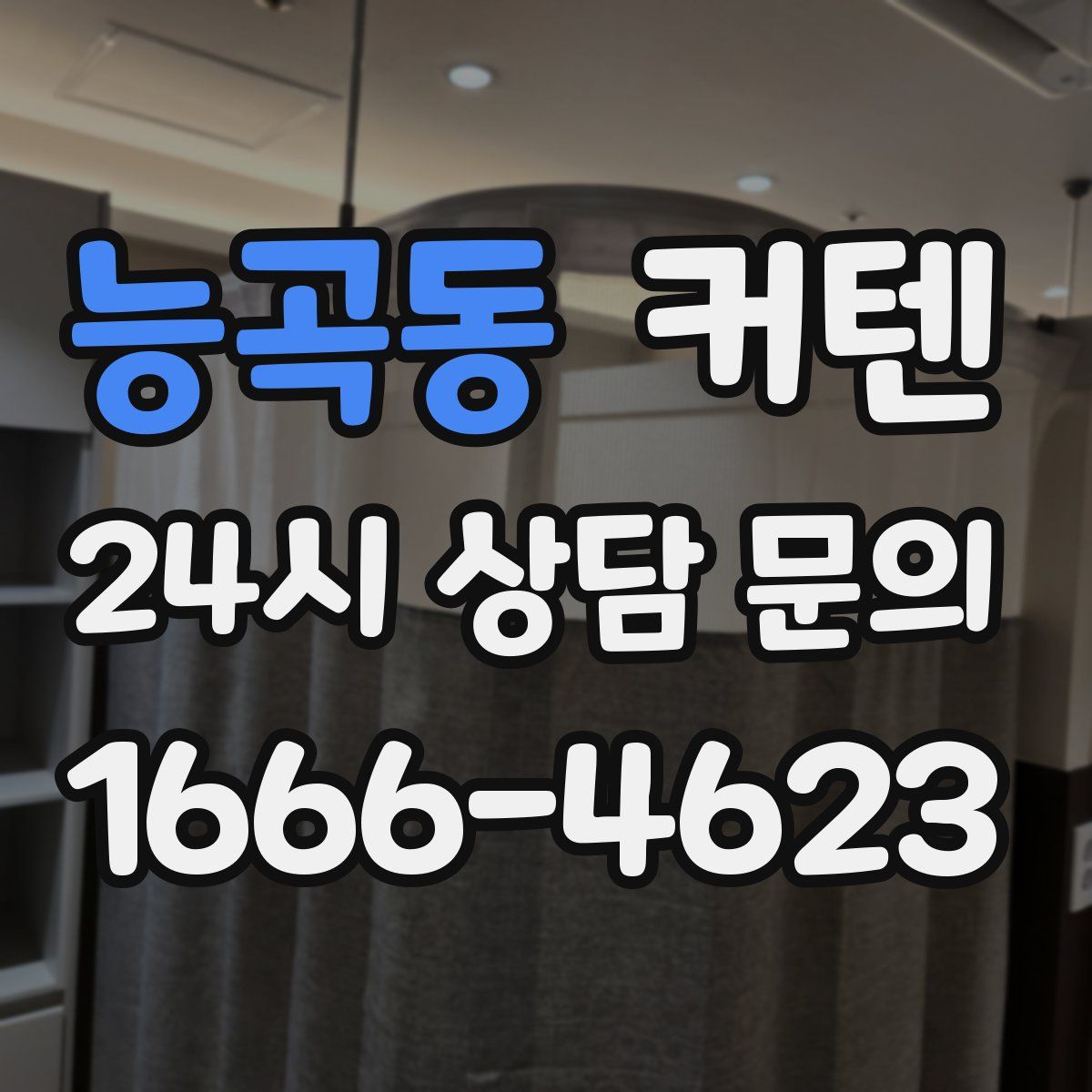 능곡동 커텐