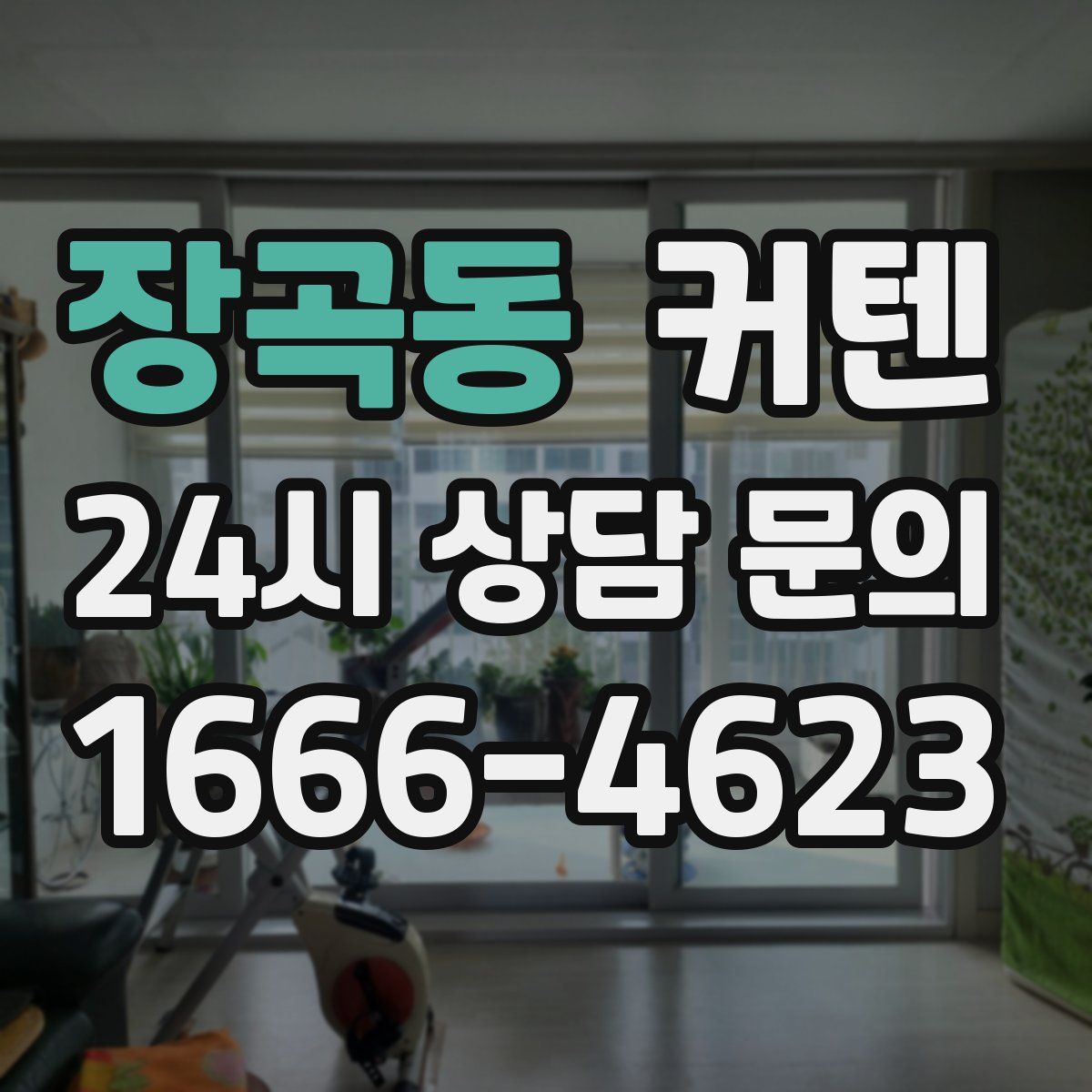 장곡동 커텐