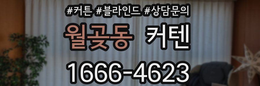 월곶동 커텐
