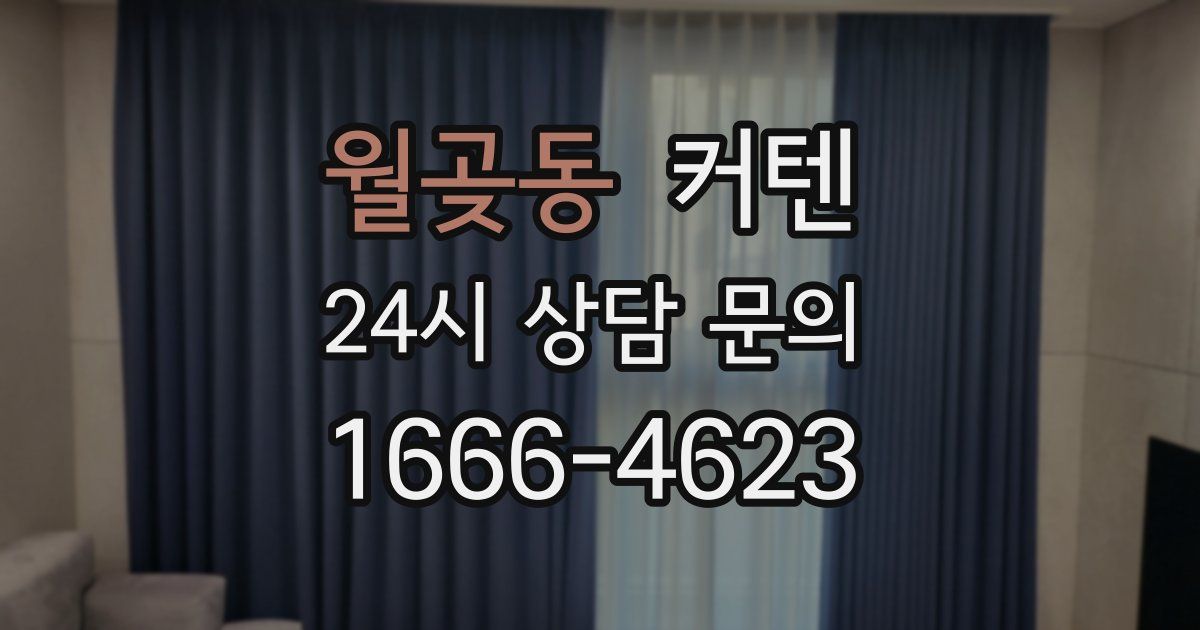 월곶동 커텐