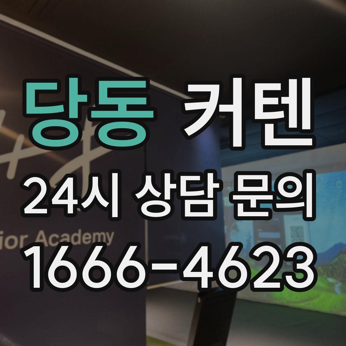 당동 커텐