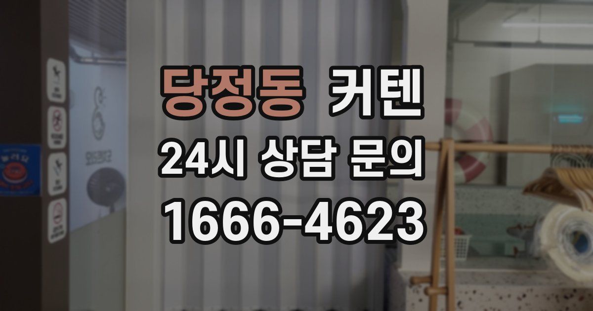 당정동 커텐
