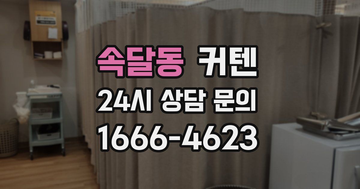 속달동 커텐