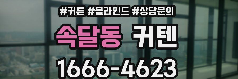 속달동 커텐