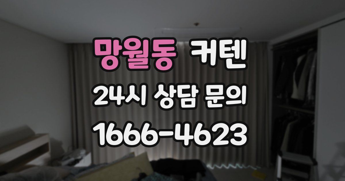 망월동 커텐