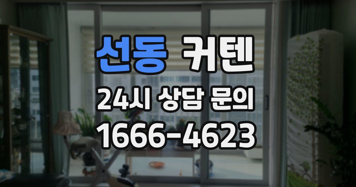 선동 커텐