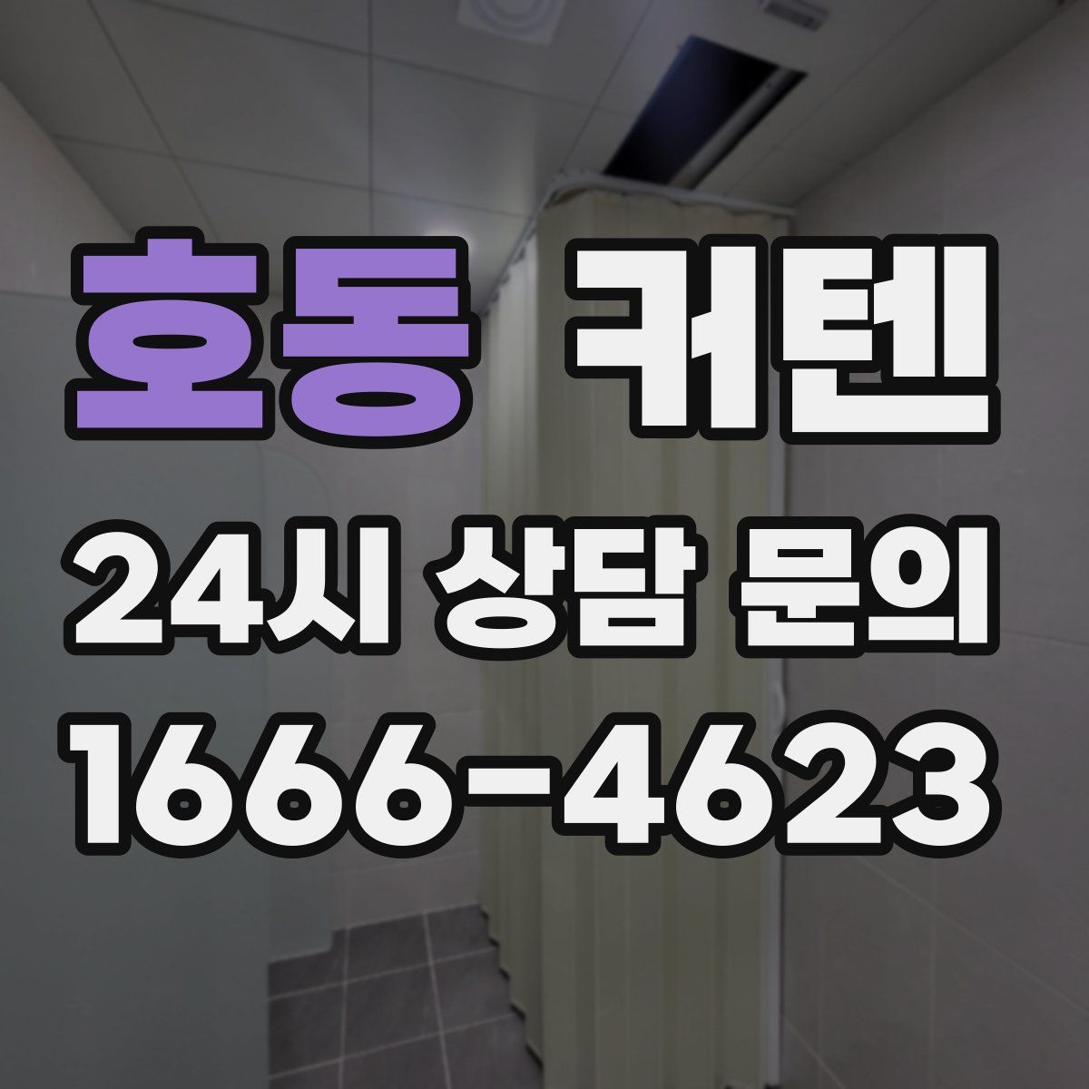 호동 커텐