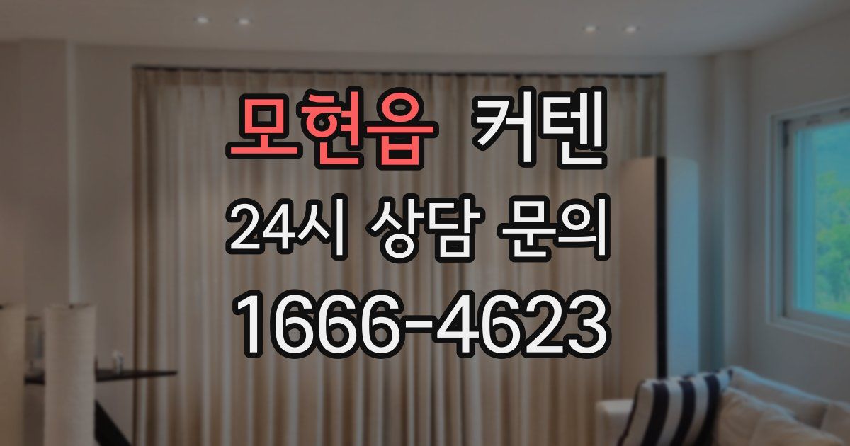 모현읍 커텐