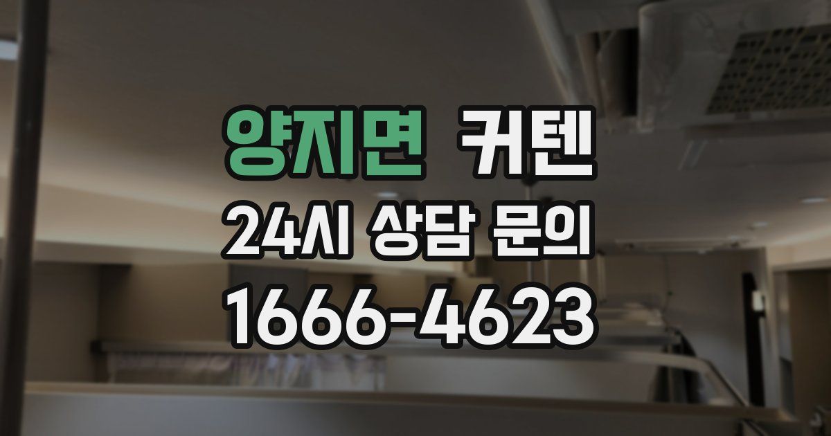 양지면 커텐