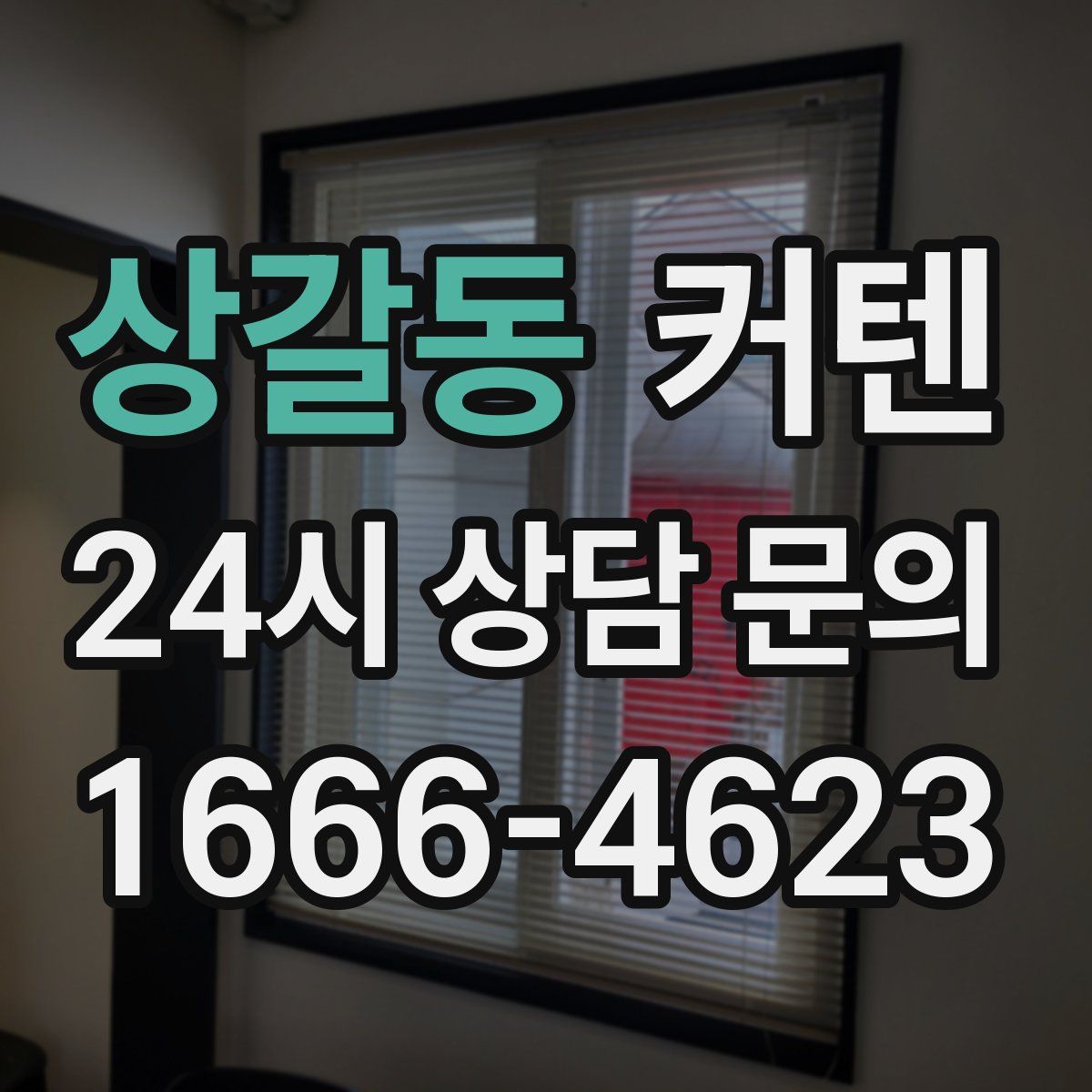 상갈동 커텐