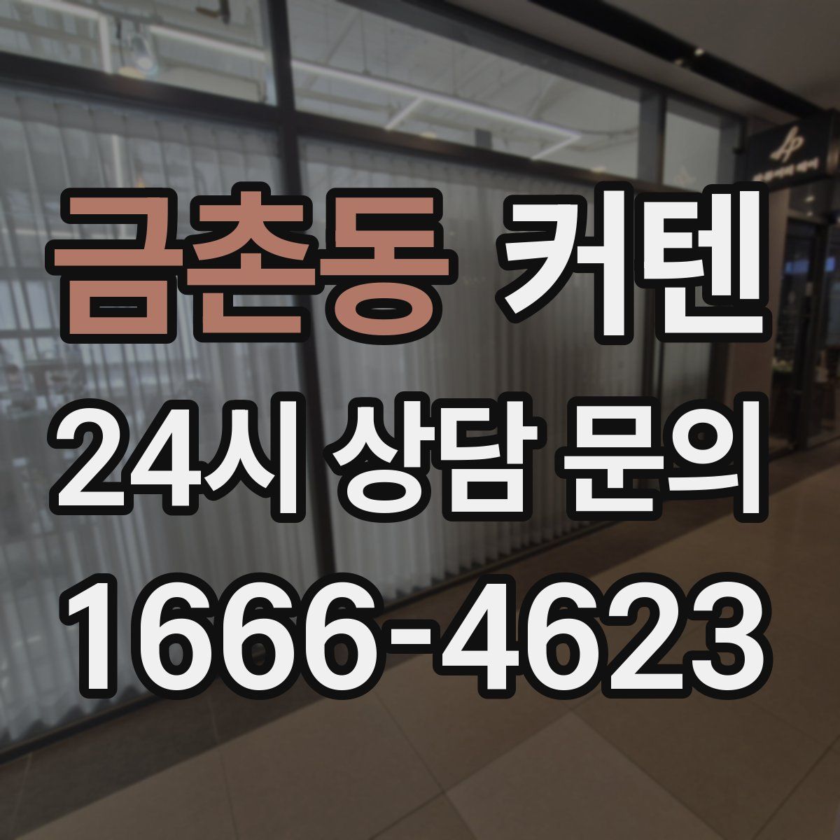 금촌동 커텐