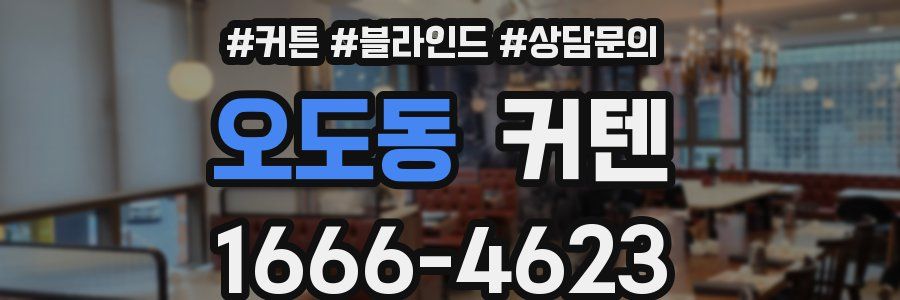 오도동 커텐