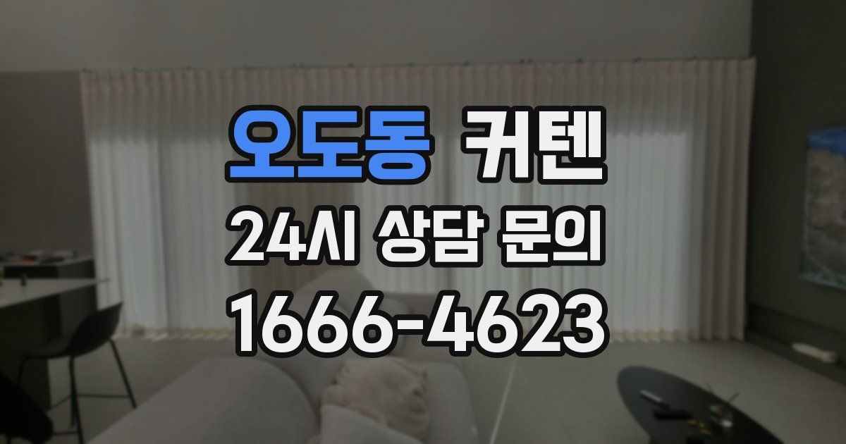 오도동 커텐