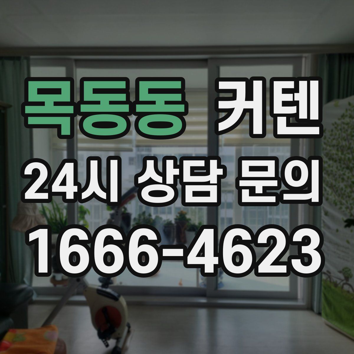 목동동 커텐