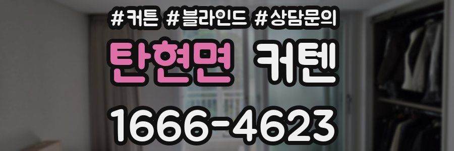 탄현면 커텐