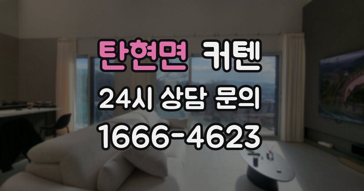 탄현면 커텐