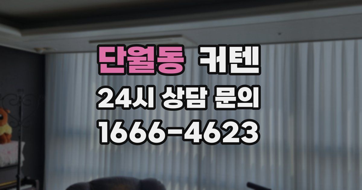 단월동 커텐