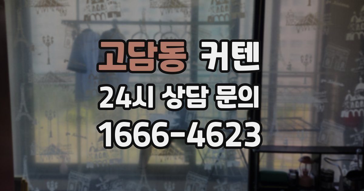 고담동 커텐