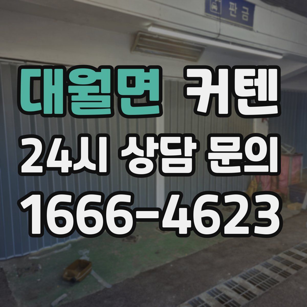 대월면 커텐