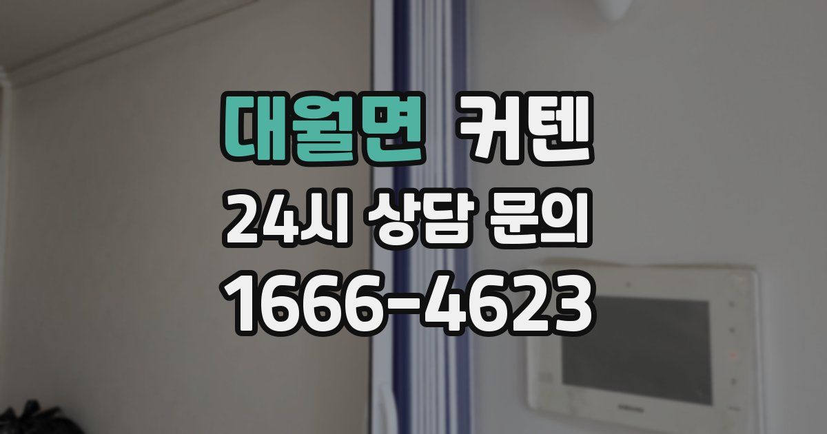 대월면 커텐