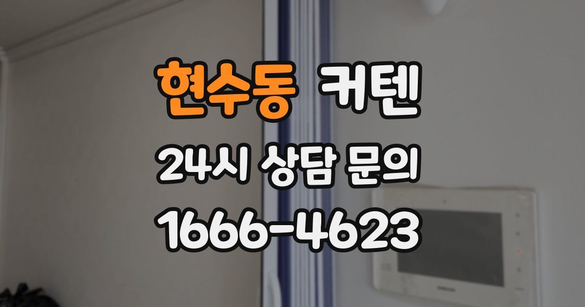 현수동 커텐