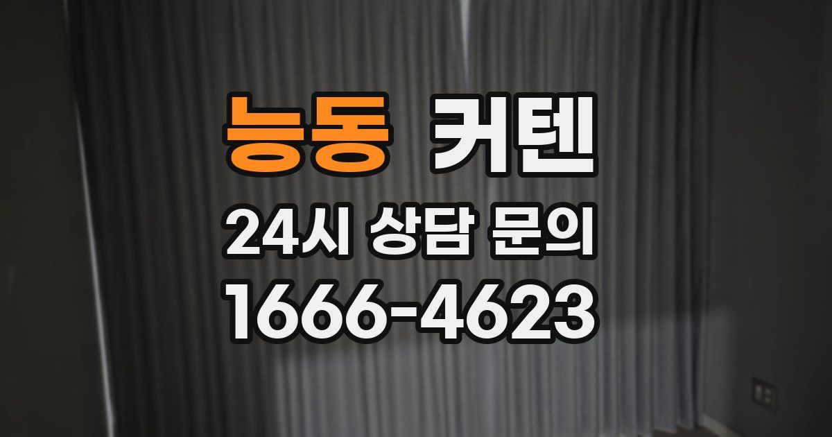 능동 커텐