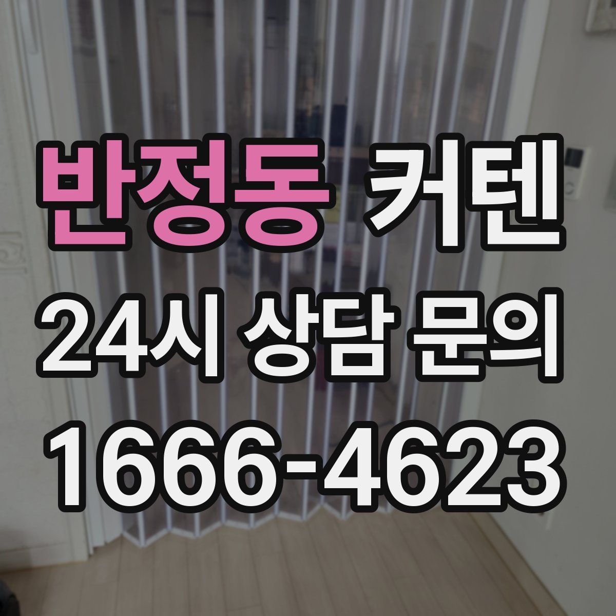 반정동 커텐