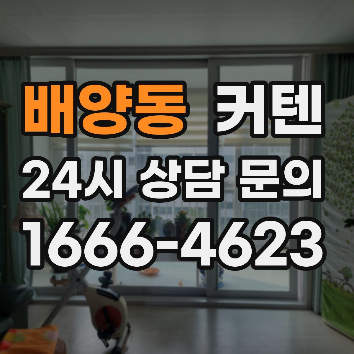 배양동 커텐