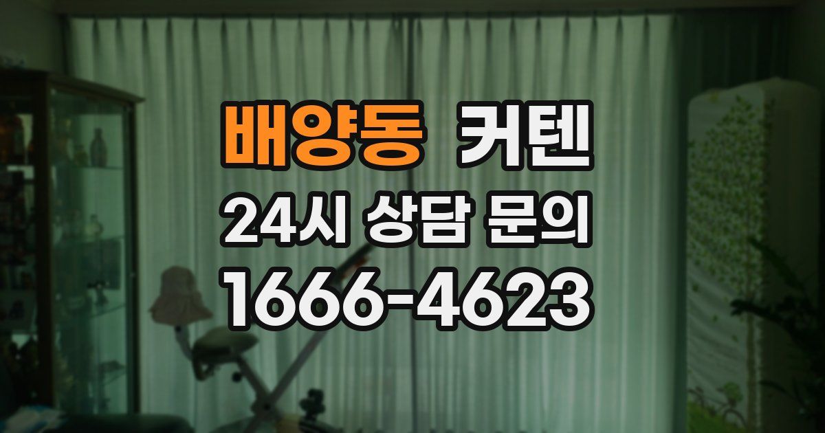 배양동 커텐