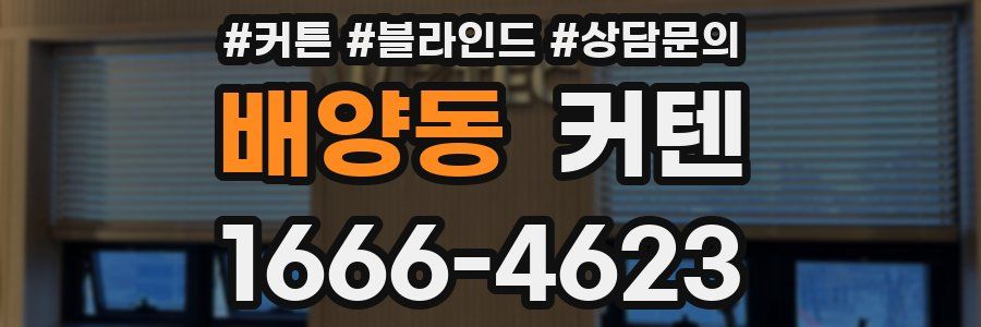 배양동 커텐