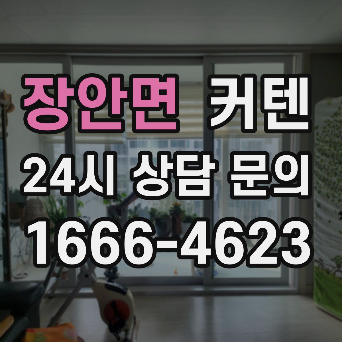 장안면 커텐