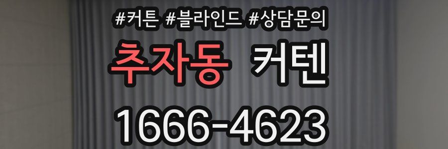 추자동 커텐