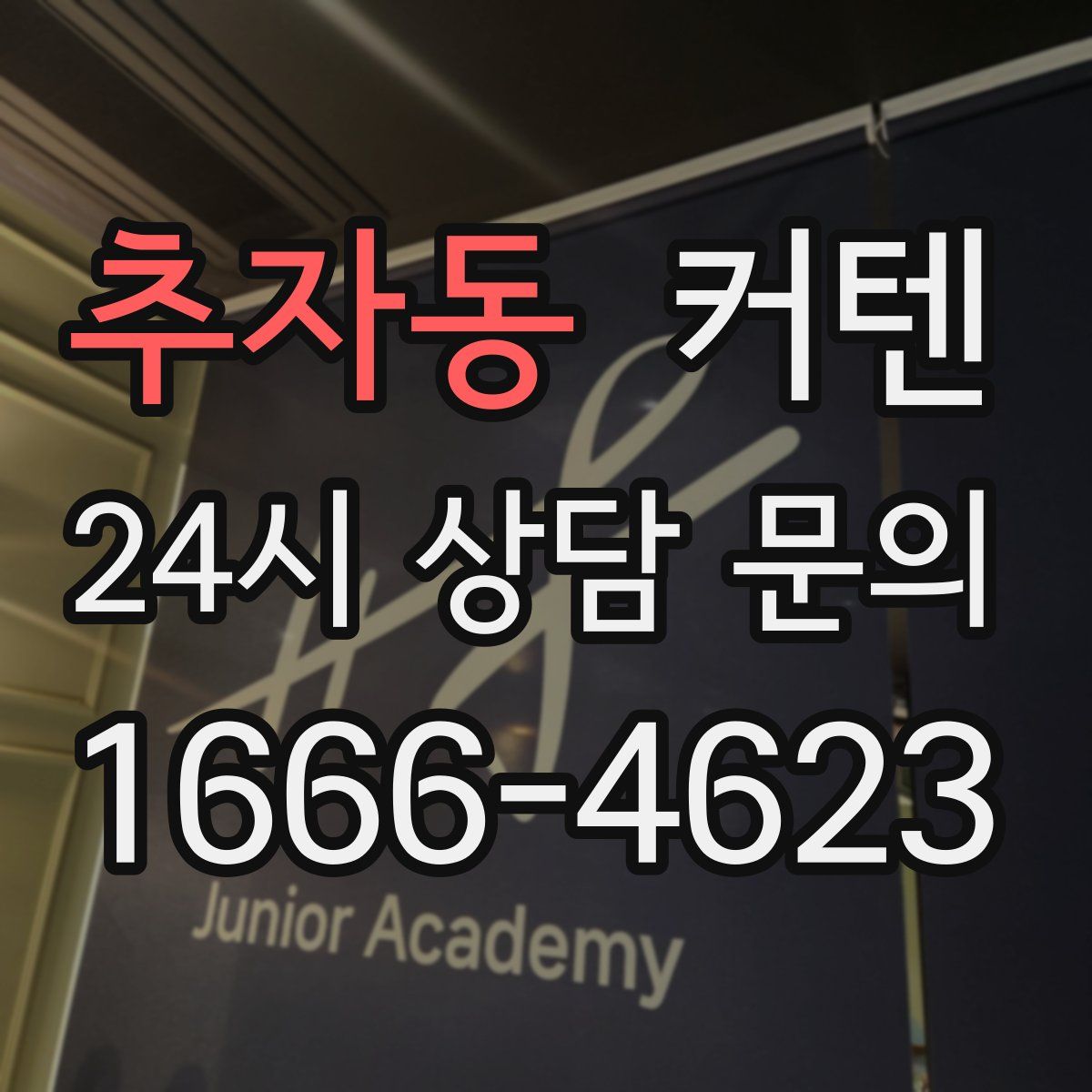 추자동 커텐