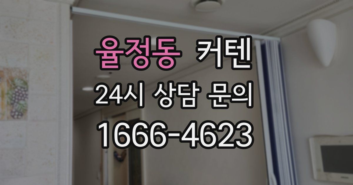율정동 커텐