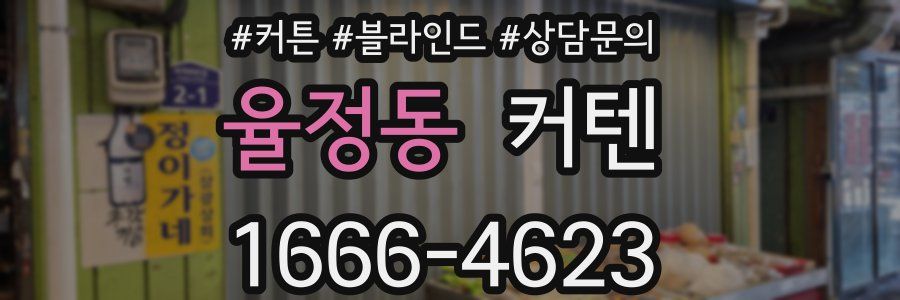 율정동 커텐